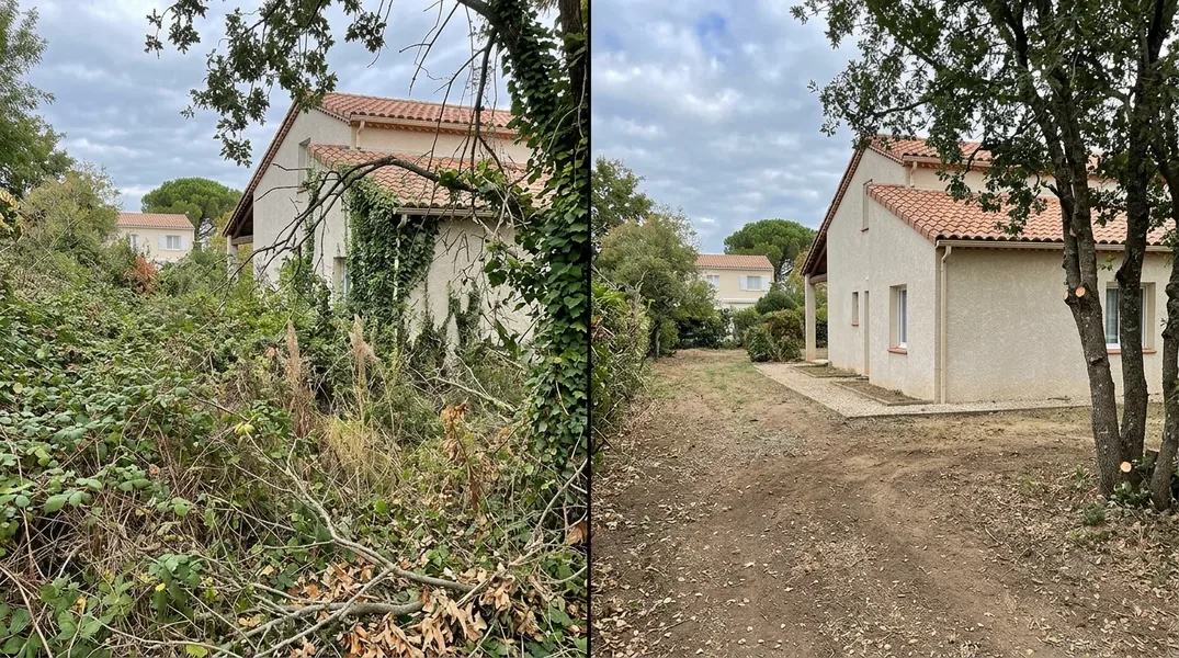 Résultat élagage à Agde — Elagage Agde
